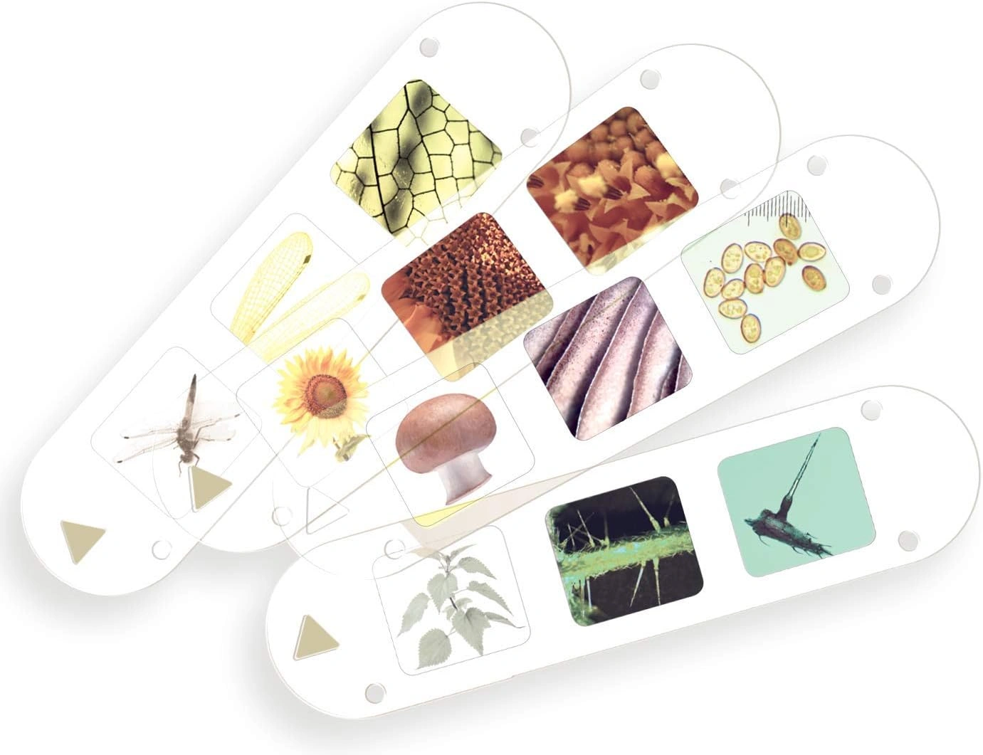 Products